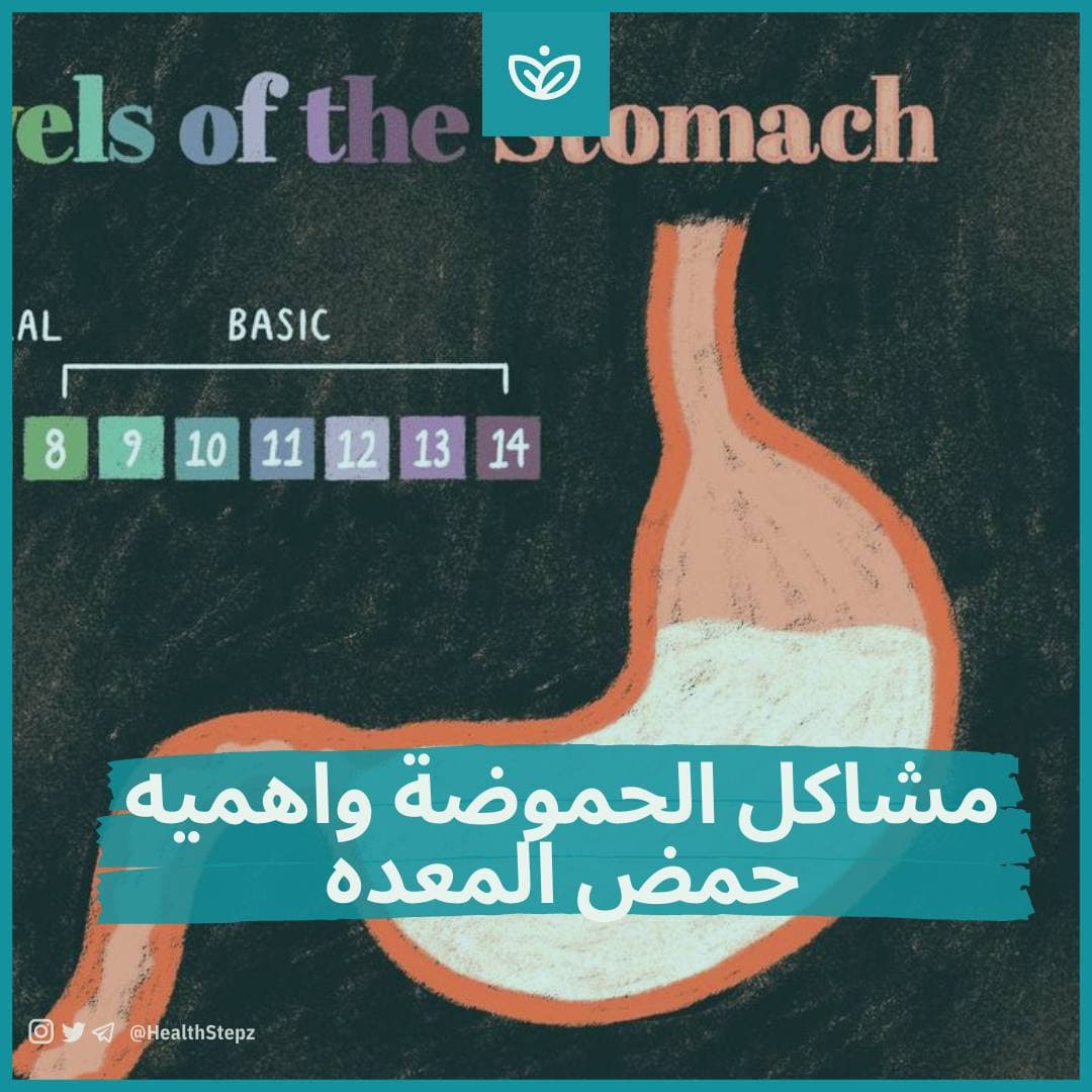 🔥 مشكلة الحموضة وأهمية حمض المعدة