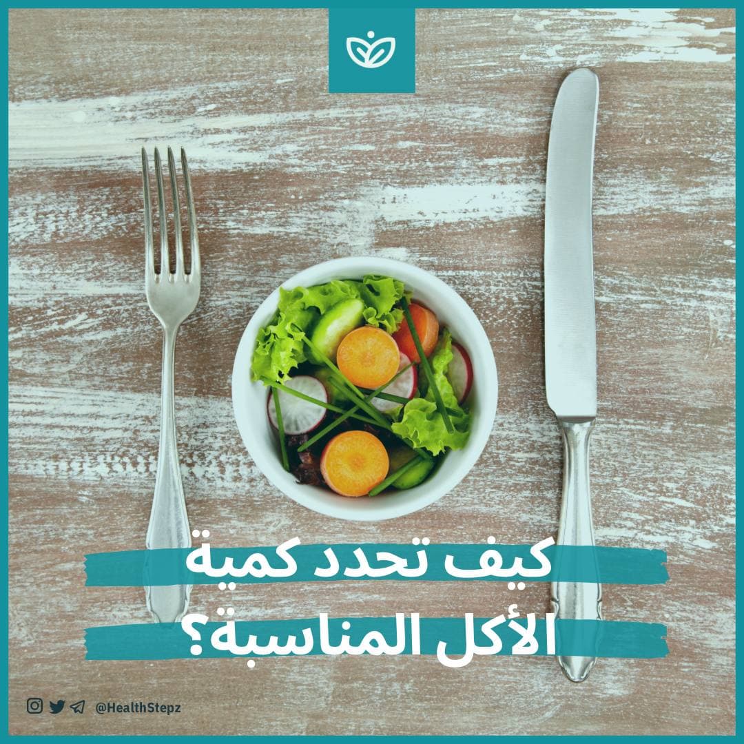 ⚖️ كيف تحدد كمية الأكل المناسبة؟ وطريقة حساب السعرات الحرارية