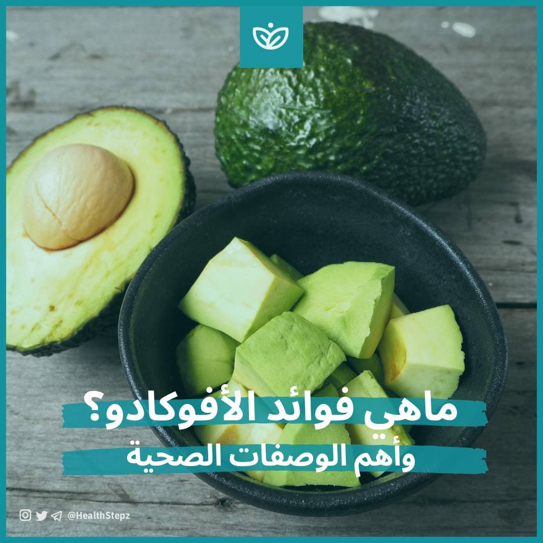 🥑 ماهي فوائد الأفوكادو؟ وأهم الوصفات الصحية
