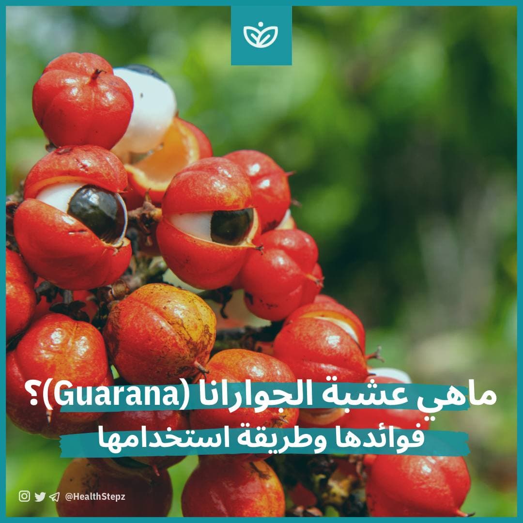 ⚡️ ماهي عشبة الجوارانا (Guarana)؟