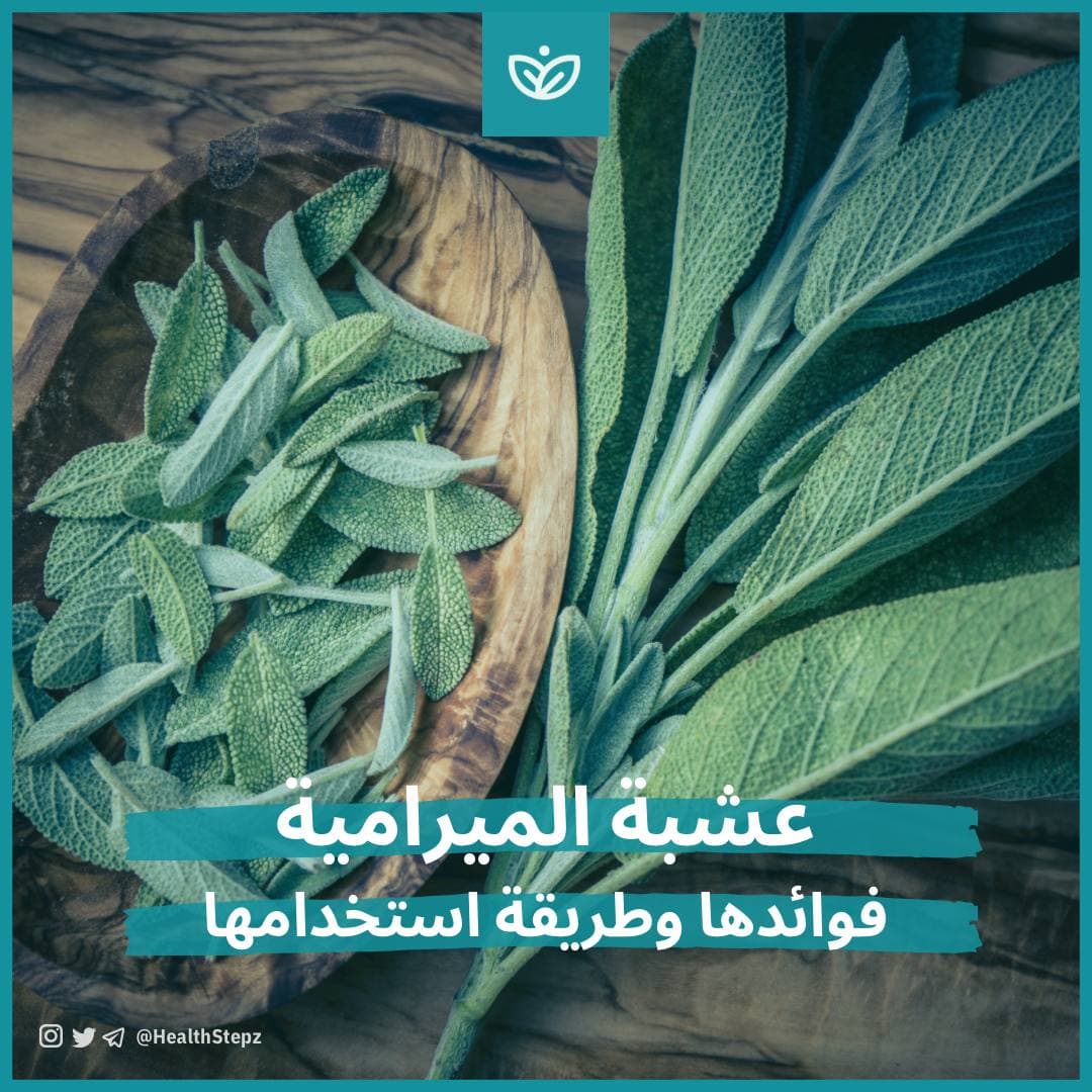 🌿 ماهي عشبة المرامية؟ وماهي فوائدها وطريقة استخدامها؟