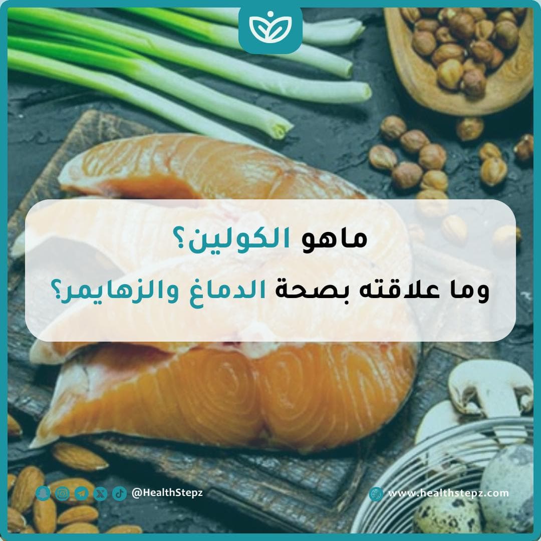 🧠 ماهو الكولين؟ وما علاقته بصحة الدماغ والزهايمر؟